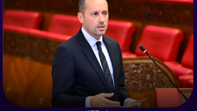 وزير الصحة والحماية الاجتماعية، أمين التهراوي