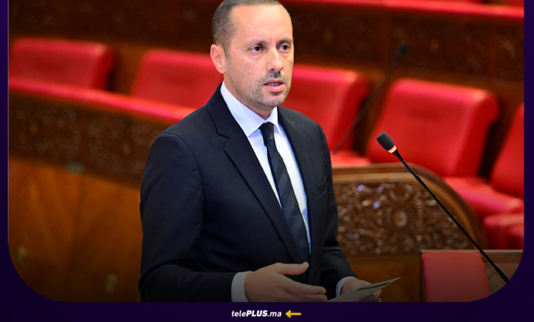 وزير الصحة والحماية الاجتماعية، أمين التهراوي