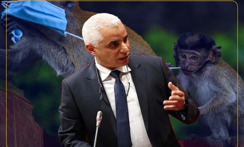 وزير الصحة يؤكد تسجيل أول حالة لجدري القردة في المغرب